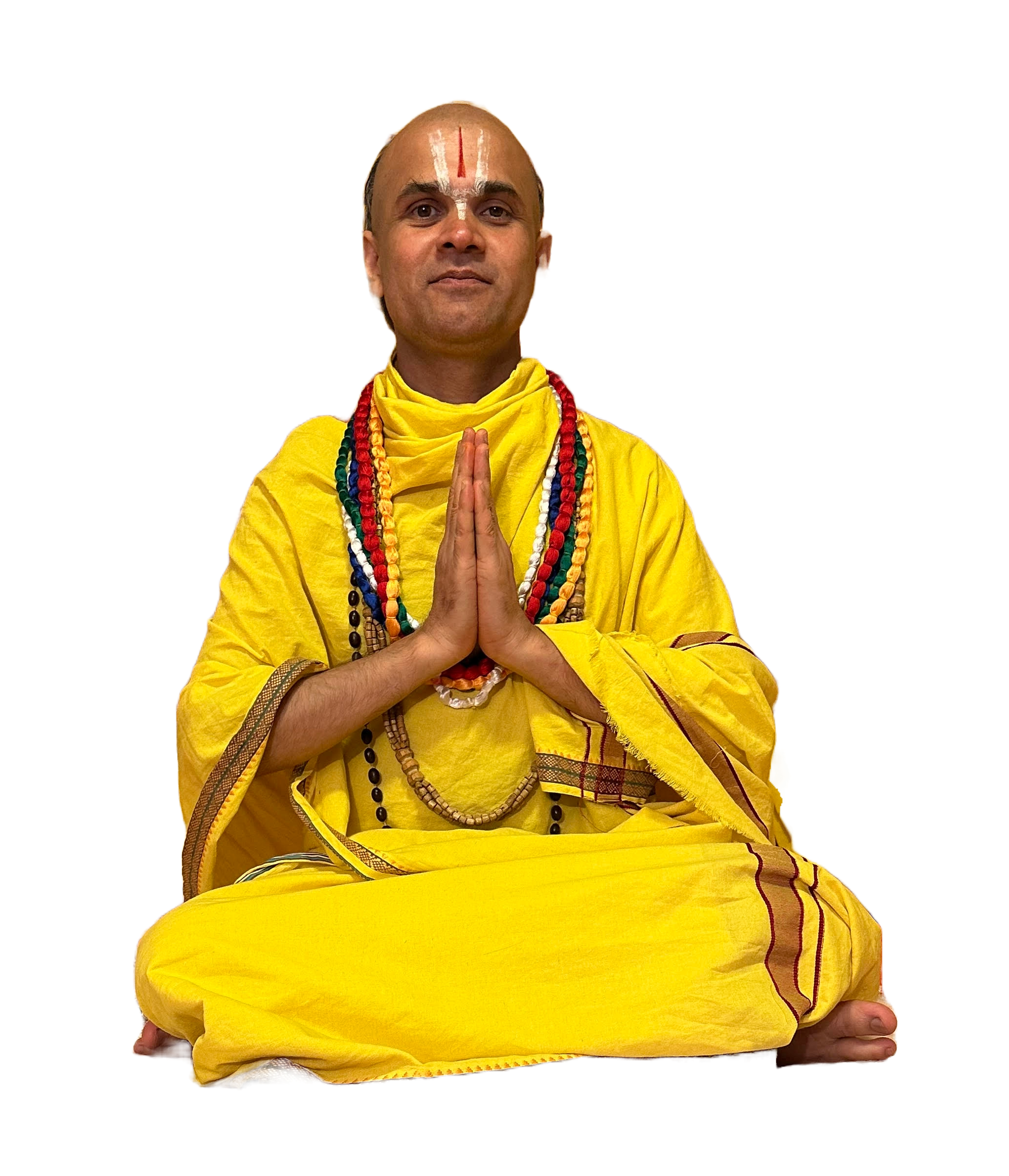 Swami Sri Damodaracharya